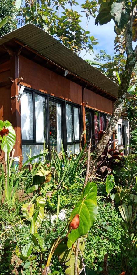 Jungleadventure Cabin Camping 贝都古 外观 照片